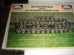 1966 Buffalo Bills (AFL) Large Size Color Team Panoramic Photo Sponsored by Schmidts Beer
