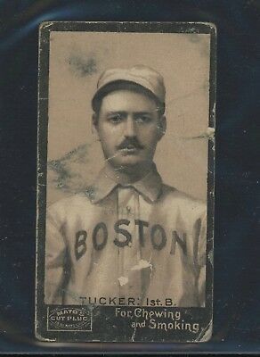 1895 Tucker (Boston) Mayo Cut Plug Tobacco Card