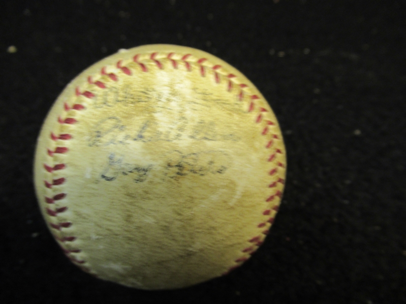 Multi-Signed Autographed Baseball 