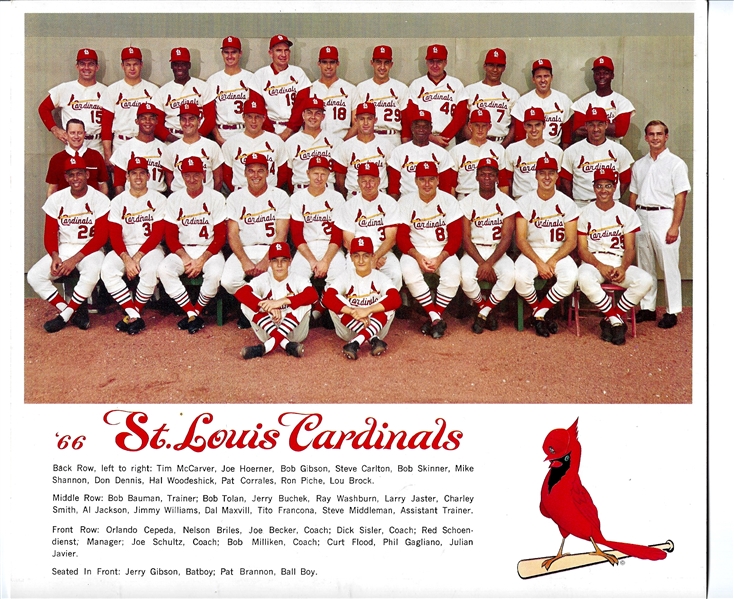 1966 St. Louis Cardinals (1st Year of the New Busch Stadium) 8 x 10 Color Team Photo