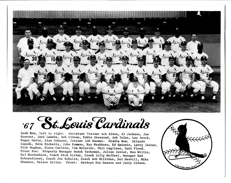 1967 St. Louis Cardinals (World Champions) 8 x 10 Glossy B x W  Team Photo