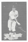 1932 Chicago Cubs Team Issue - Lon Warneke - Baseball Premium Photo