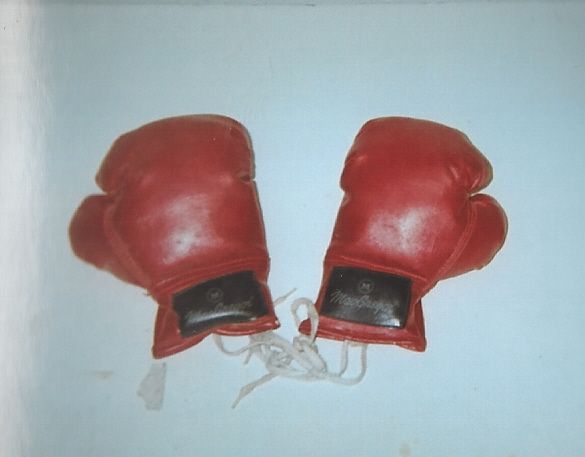 Circa 1970's MacGregor Boxing Gloves