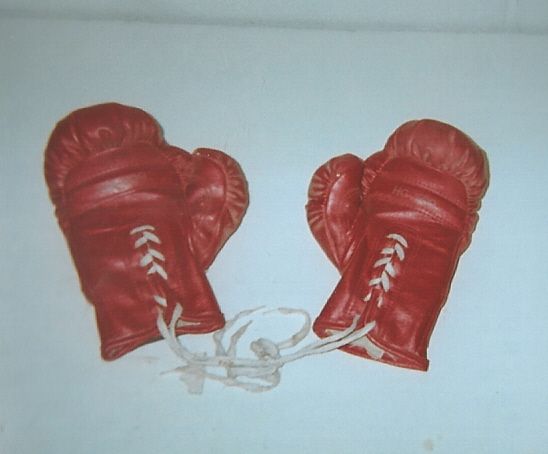 Circa 1970's MacGregor Boxing Gloves