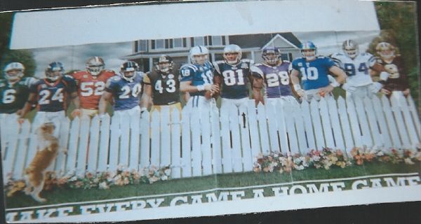 NFL Panoramic Display Poster with Top Stars