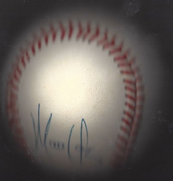 Matt Young Autographed OAL Baseball 