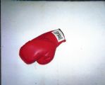 Ken Norton Autographed Everlast Boxing Glove