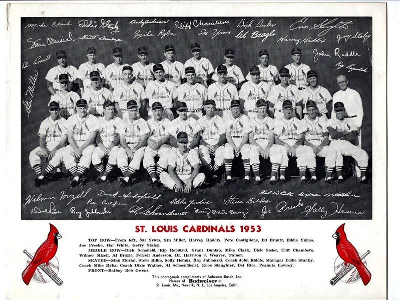 1953 St. Louis Cardinals (Budweiser Sponsored) BxW Team Photo - 8.75 x 10.5