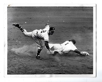 1950 Pee Wee Reese (Brooklyn Dodgers) Wire Photo - 9/29/50