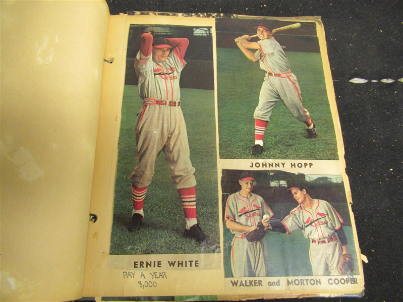 C. 1940's St. Louis Cardinals Lot of (3) Colorotos: Hopp, White & The Cooper Bros. 