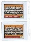 1961 NY Yankees Team Card Lot of (2) - # 228