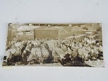 1948 NY Yankees Silver Anniversary Dinner at Ruppert Brewery Panoramic Photo